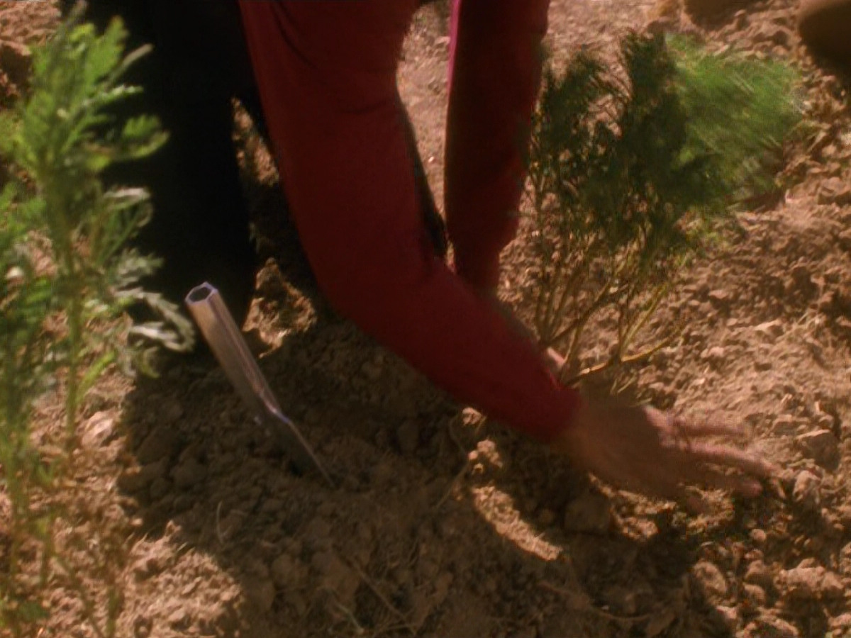 extant_StarTrek_DS9_5x22-ChildrenOfTime_02965.jpg