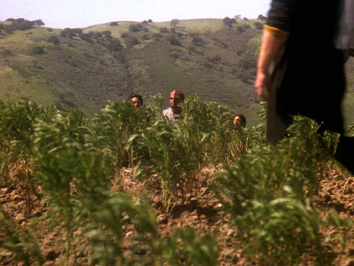 extant_StarTrek_DS9_5x22-ChildrenOfTime_03011.jpg
