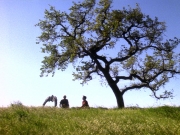 Filename=extant_StarTrek_DS9_5x22-ChildrenOfTime_01790.jpg
Filesize=362KiB
Dimensions=1200x900
Date added=Dec 20, 2019 extant_StarTrek_DS9_5x22-ChildrenOfTime_01790.jpg