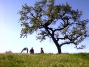 extant_StarTrek_DS9_5x22-ChildrenOfTime_01792.jpg