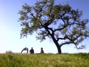 extant_StarTrek_DS9_5x22-ChildrenOfTime_01794.jpg