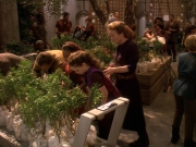 Filename=extant_StarTrek_DS9_5x22-ChildrenOfTime_02881.jpg
Filesize=283KiB
Dimensions=1200x900
Date added=Dec 20, 2019 extant_StarTrek_DS9_5x22-ChildrenOfTime_02881.jpg
