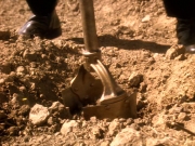Filename=extant_StarTrek_DS9_5x22-ChildrenOfTime_02921.jpg
Filesize=368KiB
Dimensions=1200x900
Date added=Dec 20, 2019 extant_StarTrek_DS9_5x22-ChildrenOfTime_02921.jpg
