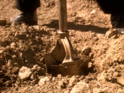 Filename=extant_StarTrek_DS9_5x22-ChildrenOfTime_02922.jpg
Filesize=356KiB
Dimensions=1200x900
Date added=Dec 20, 2019 extant_StarTrek_DS9_5x22-ChildrenOfTime_02922.jpg