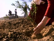 Filename=extant_StarTrek_DS9_5x22-ChildrenOfTime_02931.jpg
Filesize=347KiB
Dimensions=1200x900
Date added=Dec 20, 2019 extant_StarTrek_DS9_5x22-ChildrenOfTime_02931.jpg