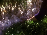 Filename=extant_StarTrek_DS9_5x22-ChildrenOfTime_02940.jpg
Filesize=271KiB
Dimensions=1200x900
Date added=Dec 20, 2019 extant_StarTrek_DS9_5x22-ChildrenOfTime_02940.jpg
