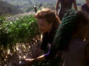 Filename=extant_StarTrek_DS9_5x22-ChildrenOfTime_02945.jpg
Filesize=243KiB
Dimensions=1200x900
Date added=Dec 20, 2019 extant_StarTrek_DS9_5x22-ChildrenOfTime_02945.jpg
