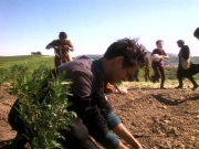 Filename=extant_StarTrek_DS9_5x22-ChildrenOfTime_02951.jpg
Filesize=279KiB
Dimensions=1200x900
Date added=Dec 20, 2019 extant_StarTrek_DS9_5x22-ChildrenOfTime_02951.jpg
