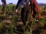 Filename=extant_StarTrek_DS9_5x22-ChildrenOfTime_02962.jpg
Filesize=293KiB
Dimensions=1200x900
Date added=Dec 20, 2019 extant_StarTrek_DS9_5x22-ChildrenOfTime_02962.jpg