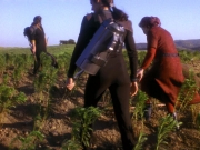 Filename=extant_StarTrek_DS9_5x22-ChildrenOfTime_02963.jpg
Filesize=280KiB
Dimensions=1200x900
Date added=Dec 20, 2019 extant_StarTrek_DS9_5x22-ChildrenOfTime_02963.jpg