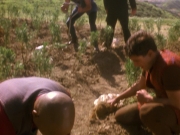 Filename=extant_StarTrek_DS9_5x22-ChildrenOfTime_02967.jpg
Filesize=235KiB
Dimensions=1200x900
Date added=Dec 20, 2019 extant_StarTrek_DS9_5x22-ChildrenOfTime_02967.jpg