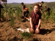 Filename=extant_StarTrek_DS9_5x22-ChildrenOfTime_02982.jpg
Filesize=364KiB
Dimensions=1200x900
Date added=Dec 20, 2019 extant_StarTrek_DS9_5x22-ChildrenOfTime_02982.jpg