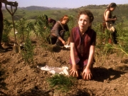 Filename=extant_StarTrek_DS9_5x22-ChildrenOfTime_02983.jpg
Filesize=365KiB
Dimensions=1200x900
Date added=Dec 20, 2019 extant_StarTrek_DS9_5x22-ChildrenOfTime_02983.jpg