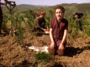 Filename=extant_StarTrek_DS9_5x22-ChildrenOfTime_02988.jpg
Filesize=360KiB
Dimensions=1200x900
Date added=Dec 20, 2019 extant_StarTrek_DS9_5x22-ChildrenOfTime_02988.jpg