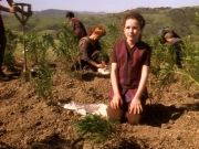 Filename=extant_StarTrek_DS9_5x22-ChildrenOfTime_03004.jpg
Filesize=364KiB
Dimensions=1200x900
Date added=Dec 20, 2019 extant_StarTrek_DS9_5x22-ChildrenOfTime_03004.jpg