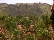 Filename=extant_StarTrek_DS9_5x22-ChildrenOfTime_03010.jpg
Filesize=313KiB
Dimensions=1200x900
Date added=Dec 20, 2019 extant_StarTrek_DS9_5x22-ChildrenOfTime_03010.jpg