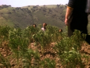 Filename=extant_StarTrek_DS9_5x22-ChildrenOfTime_03011.jpg
Filesize=294KiB
Dimensions=1200x900
Date added=Dec 20, 2019 extant_StarTrek_DS9_5x22-ChildrenOfTime_03011.jpg