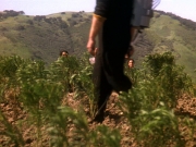 Filename=extant_StarTrek_DS9_5x22-ChildrenOfTime_03012.jpg
Filesize=280KiB
Dimensions=1200x900
Date added=Dec 20, 2019 extant_StarTrek_DS9_5x22-ChildrenOfTime_03012.jpg