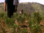 Filename=extant_StarTrek_DS9_5x22-ChildrenOfTime_03014.jpg
Filesize=285KiB
Dimensions=1200x900
Date added=Dec 20, 2019 extant_StarTrek_DS9_5x22-ChildrenOfTime_03014.jpg