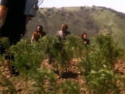 extant_StarTrek_DS9_5x22-ChildrenOfTime_03015.jpg