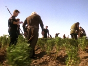 extant_StarTrek_DS9_5x22-ChildrenOfTime_03067.jpg