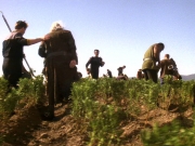 extant_StarTrek_DS9_5x22-ChildrenOfTime_03068.jpg