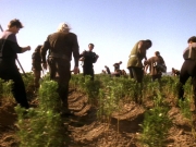 extant_StarTrek_DS9_5x22-ChildrenOfTime_03069.jpg