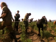 extant_StarTrek_DS9_5x22-ChildrenOfTime_03072.jpg
