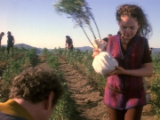 Filename=extant_StarTrek_DS9_5x22-ChildrenOfTime_03077.jpg
Filesize=277KiB
Dimensions=1200x900
Date added=Dec 20, 2019 extant_StarTrek_DS9_5x22-ChildrenOfTime_03077.jpg