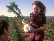 extant_StarTrek_DS9_5x22-ChildrenOfTime_03078.jpg