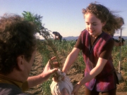 Filename=extant_StarTrek_DS9_5x22-ChildrenOfTime_03080.jpg
Filesize=277KiB
Dimensions=1200x900
Date added=Dec 20, 2019 extant_StarTrek_DS9_5x22-ChildrenOfTime_03080.jpg