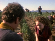 Filename=extant_StarTrek_DS9_5x22-ChildrenOfTime_03083.jpg
Filesize=253KiB
Dimensions=1200x900
Date added=Dec 20, 2019 extant_StarTrek_DS9_5x22-ChildrenOfTime_03083.jpg