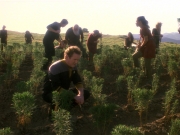 extant_StarTrek_DS9_5x22-ChildrenOfTime_03124.jpg