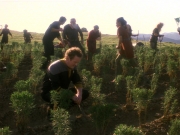 extant_StarTrek_DS9_5x22-ChildrenOfTime_03125.jpg
