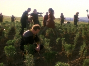 extant_StarTrek_DS9_5x22-ChildrenOfTime_03126.jpg