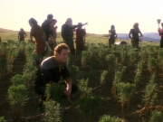 extant_StarTrek_DS9_5x22-ChildrenOfTime_03128.jpg