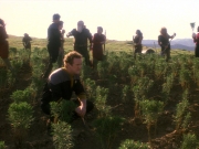 extant_StarTrek_DS9_5x22-ChildrenOfTime_03130.jpg