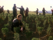 Filename=extant_StarTrek_DS9_5x22-ChildrenOfTime_03131.jpg
Filesize=245KiB
Dimensions=1200x900
Date added=Dec 20, 2019 extant_StarTrek_DS9_5x22-ChildrenOfTime_03131.jpg