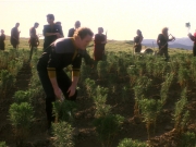 extant_StarTrek_DS9_5x22-ChildrenOfTime_03133.jpg