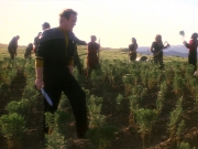 extant_StarTrek_DS9_5x22-ChildrenOfTime_03134.jpg