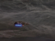 Filename=extant_StarTrek_DS9_5x23-BlazeOfGlory_02633.jpg
Filesize=101KiB
Dimensions=1200x900
Date added=Dec 21, 2019 extant_StarTrek_DS9_5x23-BlazeOfGlory_02633.jpg