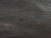 Filename=extant_StarTrek_DS9_5x23-BlazeOfGlory_02636.jpg
Filesize=84KiB
Dimensions=1200x900
Date added=Dec 21, 2019 extant_StarTrek_DS9_5x23-BlazeOfGlory_02636.jpg