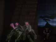extant_StarTrek_DS9_5x23-BlazeOfGlory_03641.jpg