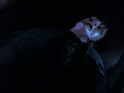 extant_StarTrek_DS9_5x24-EmpokNor_03572.jpg