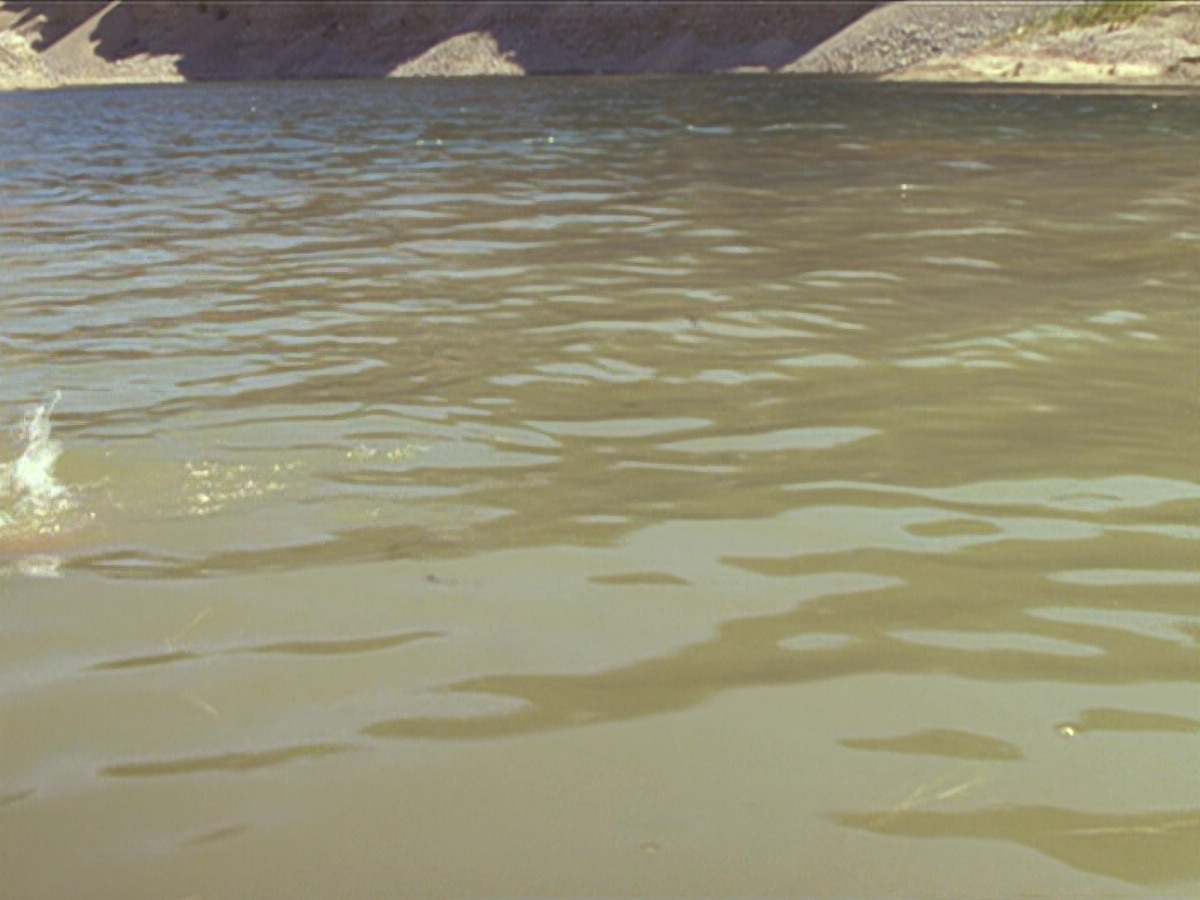 extant_StarTrek_DS9_6x02-RocksAndShoals_00455.jpg