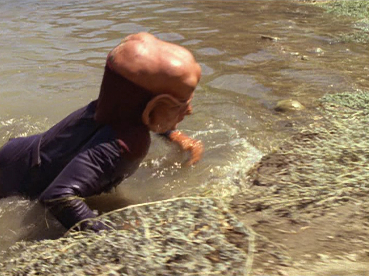 extant_StarTrek_DS9_6x02-RocksAndShoals_00471.jpg