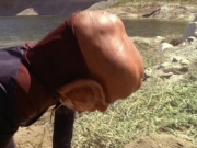 Filename=extant_StarTrek_DS9_6x02-RocksAndShoals_00478.jpg
Filesize=237KiB
Dimensions=1200x900
Date added=Jan 07, 2020 extant_StarTrek_DS9_6x02-RocksAndShoals_00478.jpg