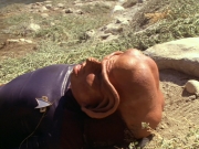 Filename=extant_StarTrek_DS9_6x02-RocksAndShoals_00481.jpg
Filesize=261KiB
Dimensions=1200x900
Date added=Jan 07, 2020 extant_StarTrek_DS9_6x02-RocksAndShoals_00481.jpg