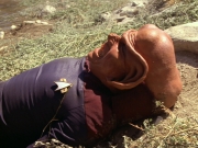 Filename=extant_StarTrek_DS9_6x02-RocksAndShoals_00486.jpg
Filesize=269KiB
Dimensions=1200x900
Date added=Jan 07, 2020 extant_StarTrek_DS9_6x02-RocksAndShoals_00486.jpg