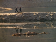 extant_StarTrek_DS9_6x02-RocksAndShoals_02381.jpg